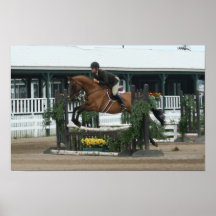 Equestrian Poster