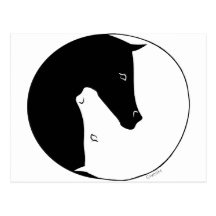 Equestrian Ying Yang Postcard