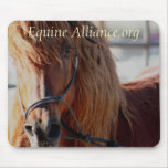 Equine Alliance mouse pad