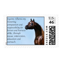 Equine Alliance Stamps