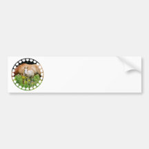 Equine Art Bumper Stickers