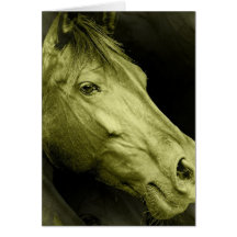 Equine Art  Greeting Card
