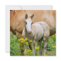 Equine Art Invitation