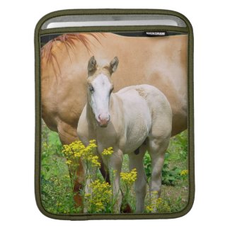 Equine Art iPad Sleeve rickshaw_sleeve