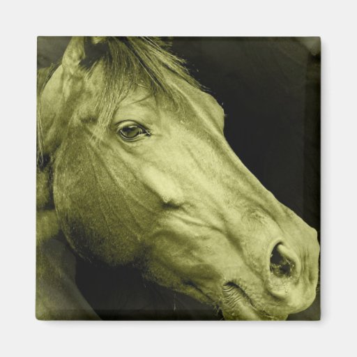 Equine Art  Magnet