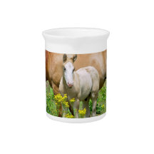 Equine Art Pitcher