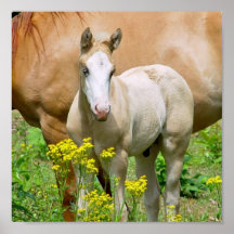 Equine Art Poster Print