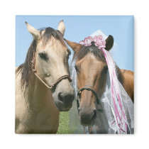 Equine bride and groom magnets