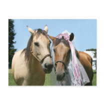 Equine bride and groom postcards by deemac1 Equine bride and groom postcards