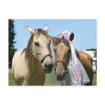 Equine bride and groom post card