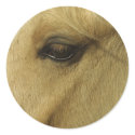 Equine Eye stickers