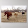 Equine Follow the Leader Poster