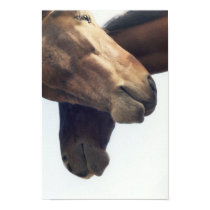 Equine Geometry posters