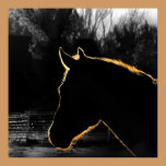 Equine Glow posters