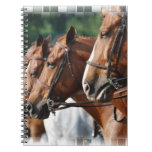 Equine Horse Show Notebook