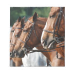 Equine Horse Show Notepad