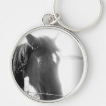 Equine Memories Key Chain