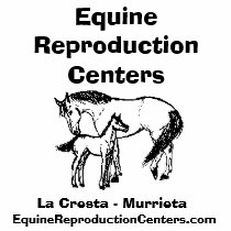 Equine Reproduction Centers - Polo Shirt by Rancholacresta Equine Reproduction Centers - Polo Shirt