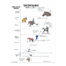Equine Risk Assessment LARGE Poster posters