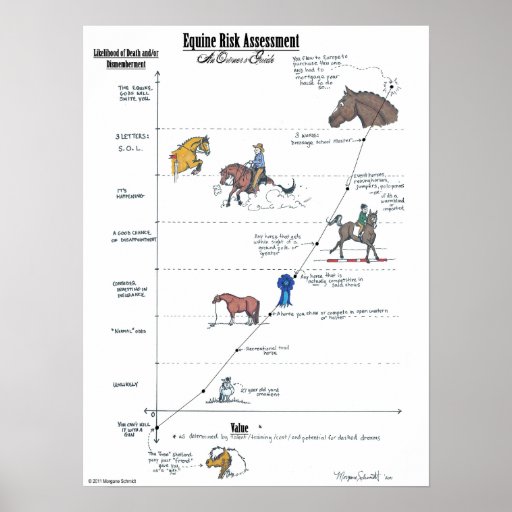 Equine Risk Assessment LARGE Poster