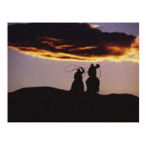 Equipo del vaquero con Lassoes tarjetas postales