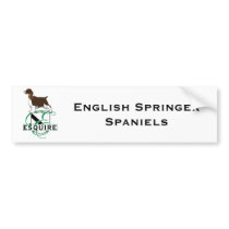 Equire English Springer Spaniels bumper stickers by DDGraphix Equire English Springer Spaniels bumper stickers