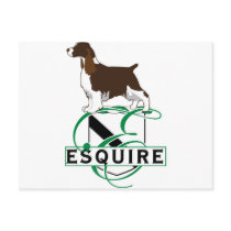 Equire English Springer Spaniels postcards by DDGraphix Equire English Springer Spaniels postcards