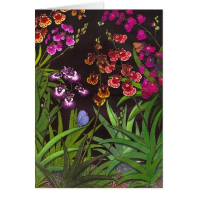 oncidium