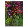 Equitant Oncidium Tolumnia Orchids Card