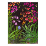 orchids, oncidium, tolumnia, equitant oncidium,