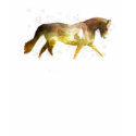 Equitation t-shirts