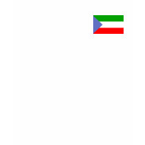 Equitorial Guinea Flag t-shirts