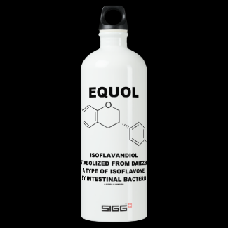 Equol Isoflavandiol Metabolized From Daidzein SIGG Traveler 1.0L Water Bottle