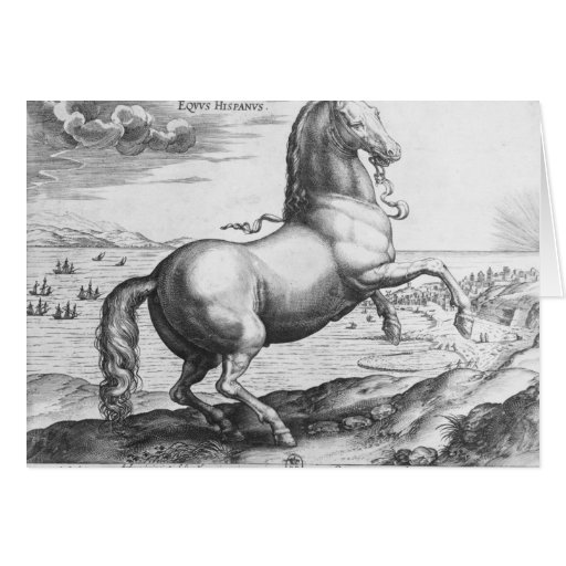 Equus Hispanus Greeting Cards