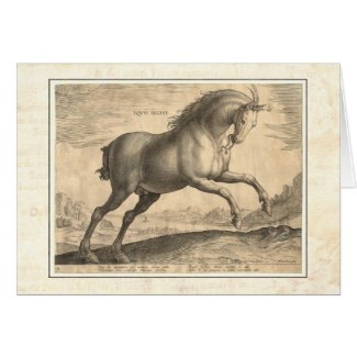 Elegant Horses from Stradanus Magnificent Book Equile – Posters, Cards and Gifts