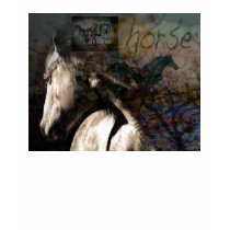 Equus Spirit of the Horse Tee t-shirts