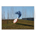 eraser cards by SeattleImagery eraser cards