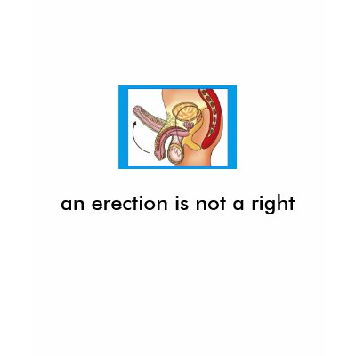 erection an erection is not a right tees by siraustin