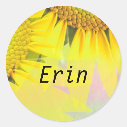 Erin Round Stickers