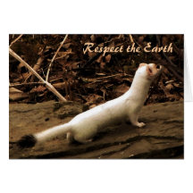 Ermine Earth Day Greeting Card