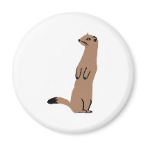 Ermine - Stoat - Weasel Magnet
