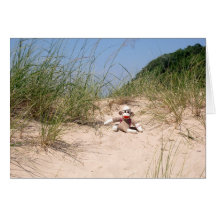 Ernie the Sock Monkey Sand Dunes Blank Card