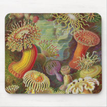 Ernst Haeckel - Actiniae Anemones Detail Mouse Mats
