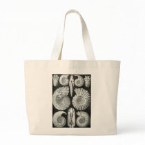 Ernst Haeckel - Ammonitida Canvas Bags