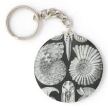 Ernst Haeckel - Ammonitida Key Chain