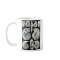 Ernst Haeckel - Ammonitida Mugs