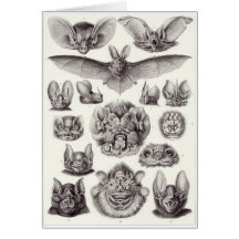 Ernst Haeckel Art Card: Chiroptera
