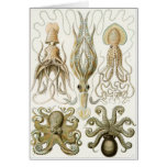 Ernst Haeckel Art Card: Gamochonia