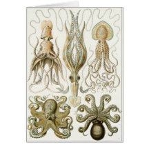 Ernst Haeckel Art Card: Gamochonia