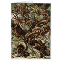 Ernst Haeckel Art Card: Lacertilia